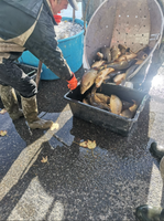 Snímek obrazovky 2025-10-14 101113.png